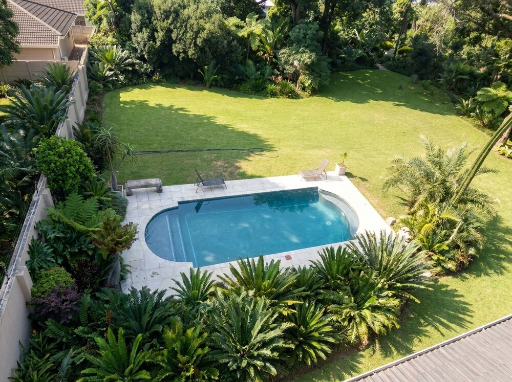 Pool Gecko — swimming pool project photograph 13 of 16 — aerial view