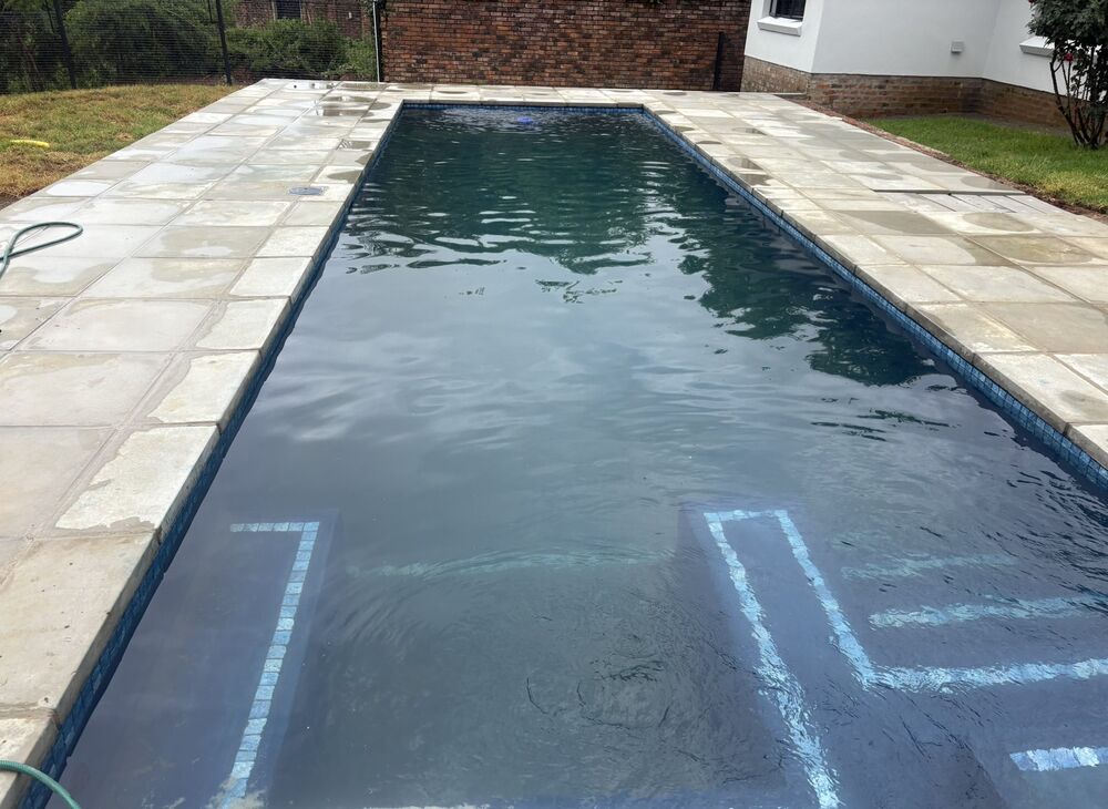 Pool Gecko — swimming pool project photograph 4 of 16