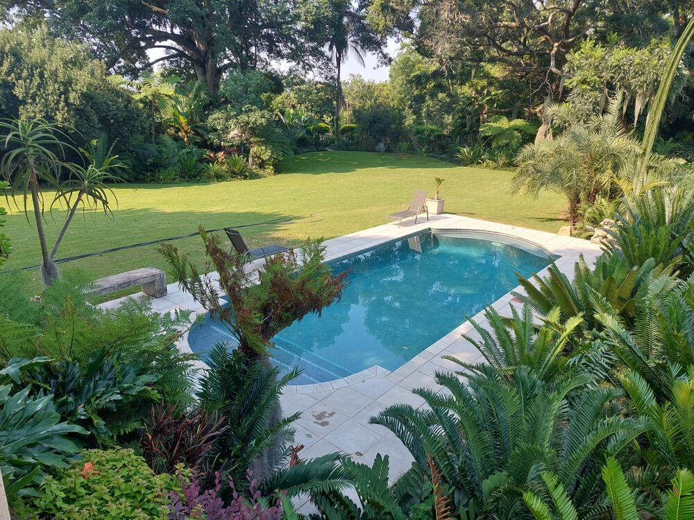 Pool Gecko — swimming pool project photograph 5 of 16