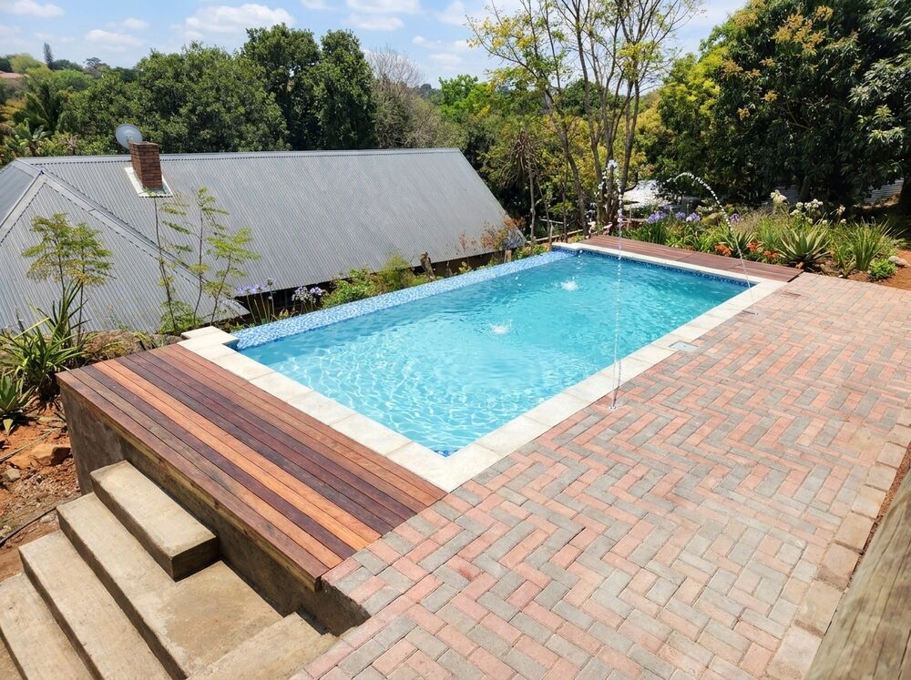 Pool Gecko — swimming pool project photograph 10 of 16